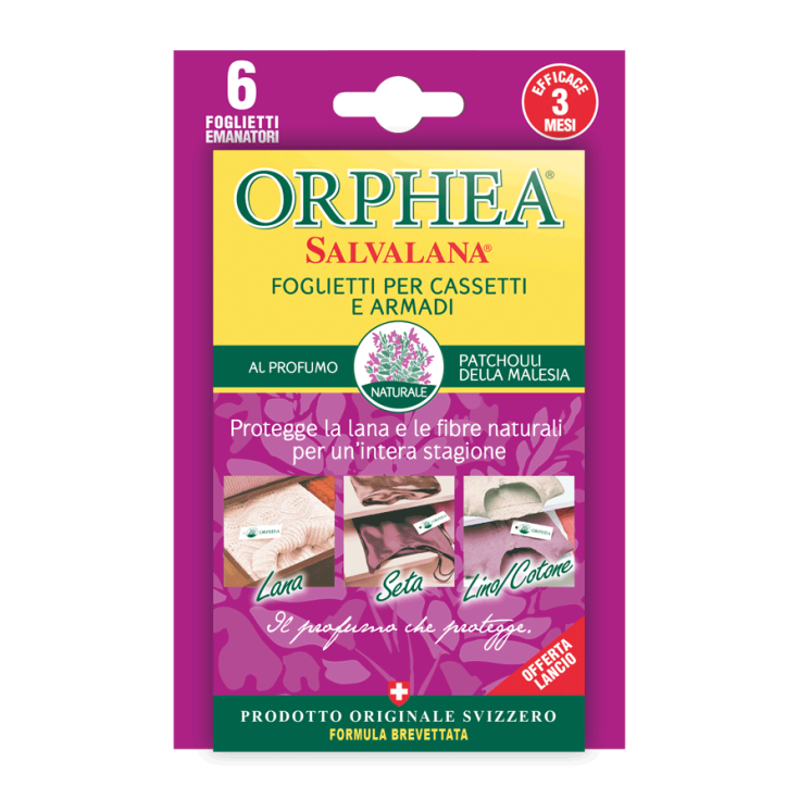 Salvalana Organizador Folletos ORPHEA 6 Piezas