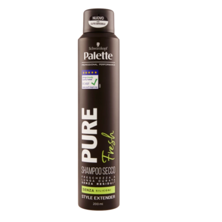 Paleta de champú en seco PURE Fresh 200ml
