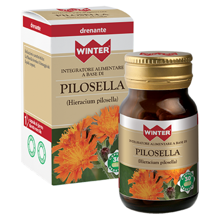 Pilosella Winter® 30 Cápsulas Vegetarianas