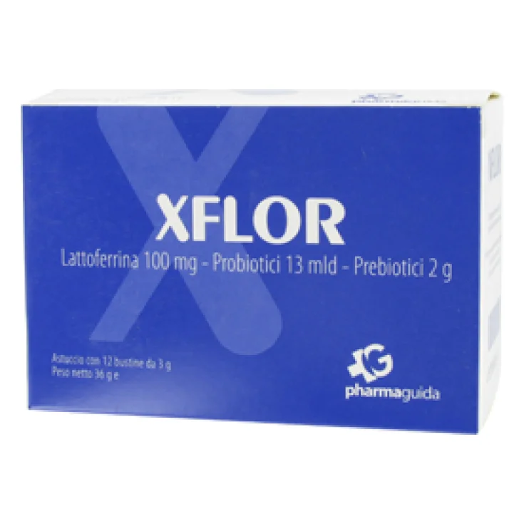 Xflor 12 busto