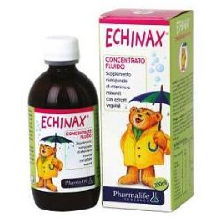 Echinax Bimbi Fluido Concentrado 200ml