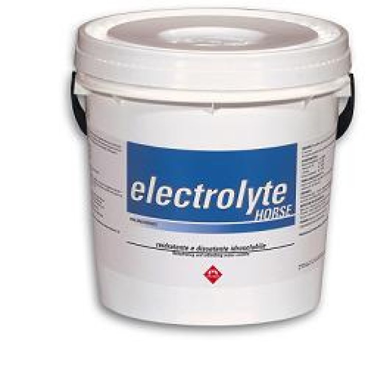 Electrolyte Caballo Rehidratante en Polvo Soluble en Agua para Caballos 3kg