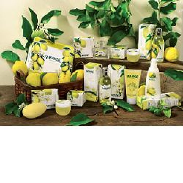 L'amande Fior Di Limone Gel de Ducha Aromático