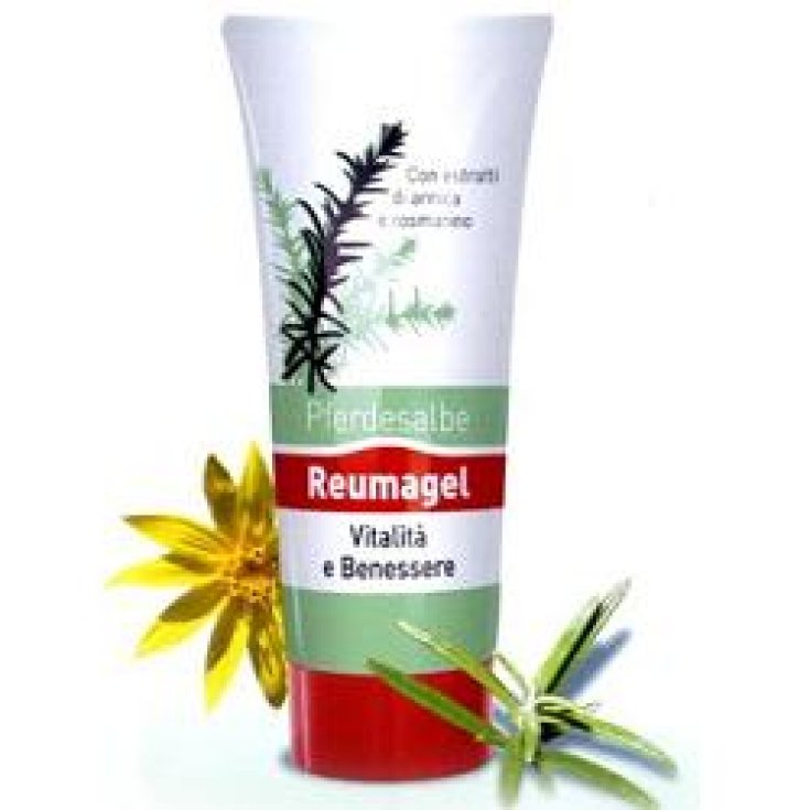 Pferdesalbe Reumagel Vitalidad Y Bienestar 200ml