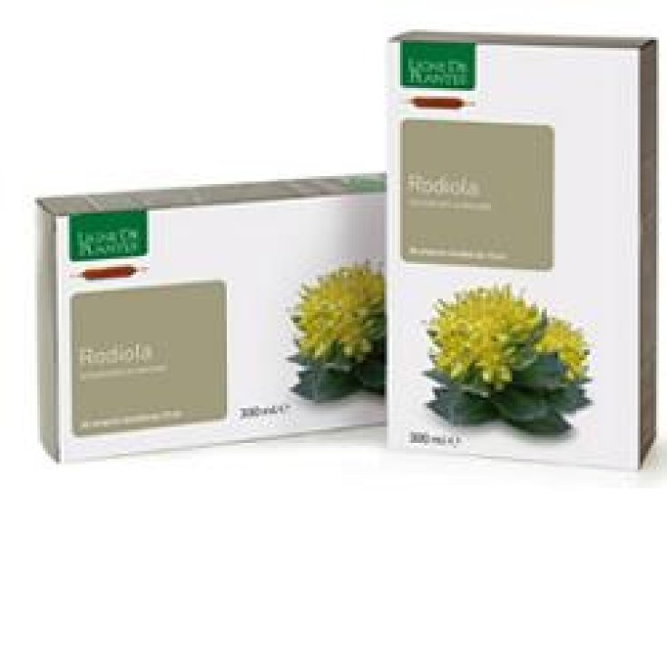 Natura Service Rodiola Complemento Alimenticio 20 Ampollas Bebibles 15ml