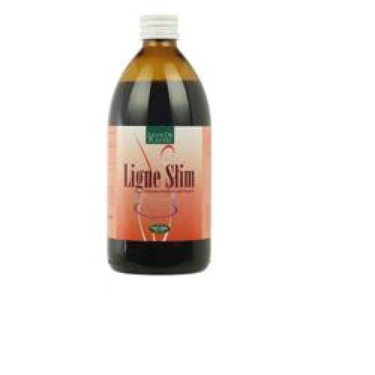 Natura Service Ligne Slim Complemento Alimenticio 500ml