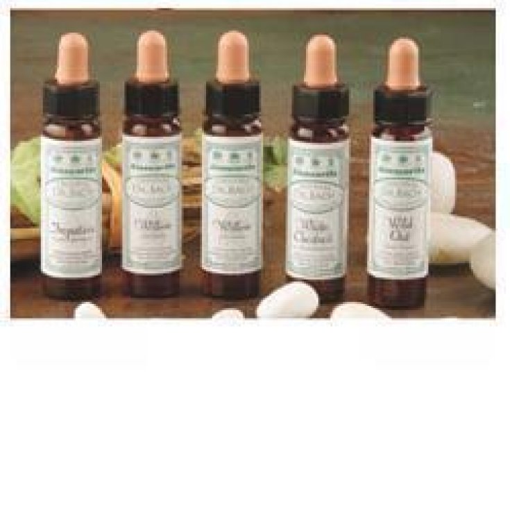 Santiveri Ainsworths Rosa Silvestre Flores De Bach 10ml