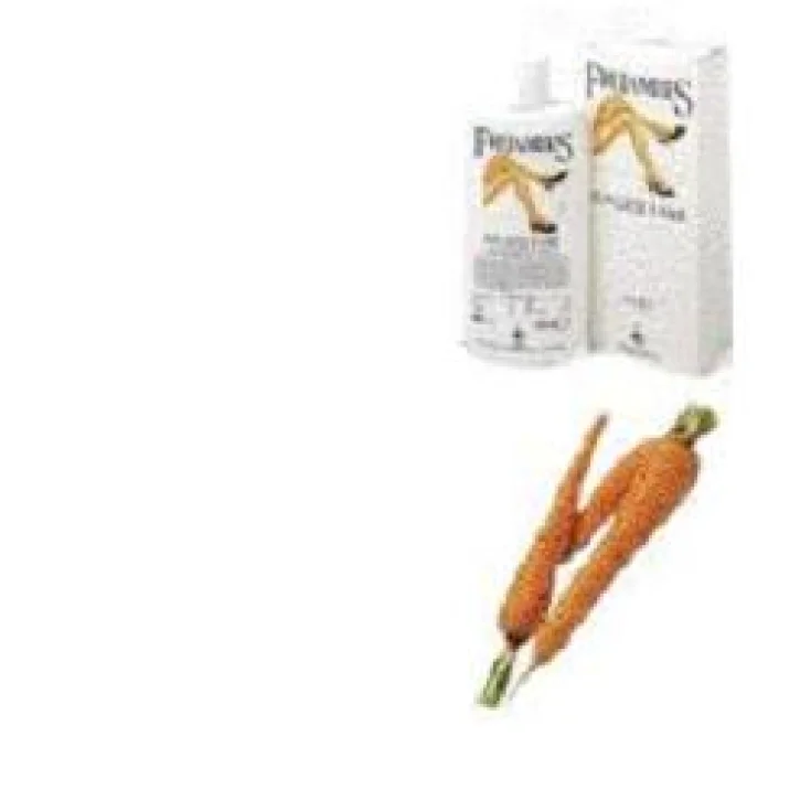 Cereal's Sunlegs Protector Solar 8h 200ml