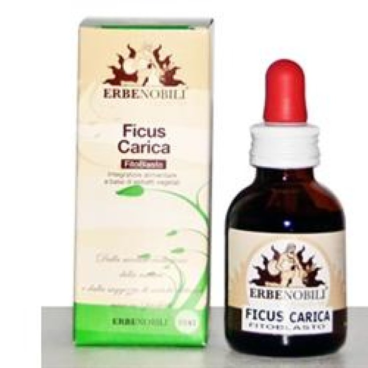 FICUS FITOBLAST CARGA 50ML