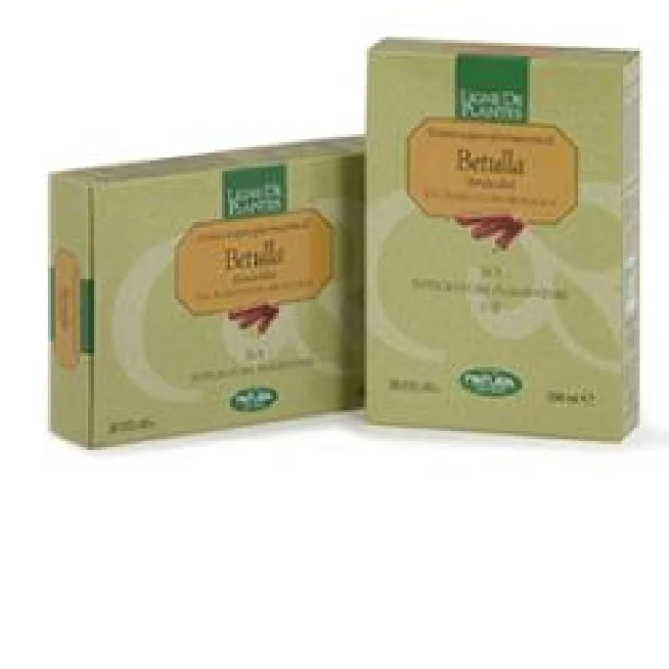 Abedul 20ab 15ml