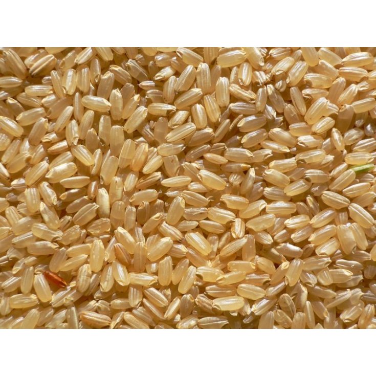 Farmagourmet Arroz Integral 1kg