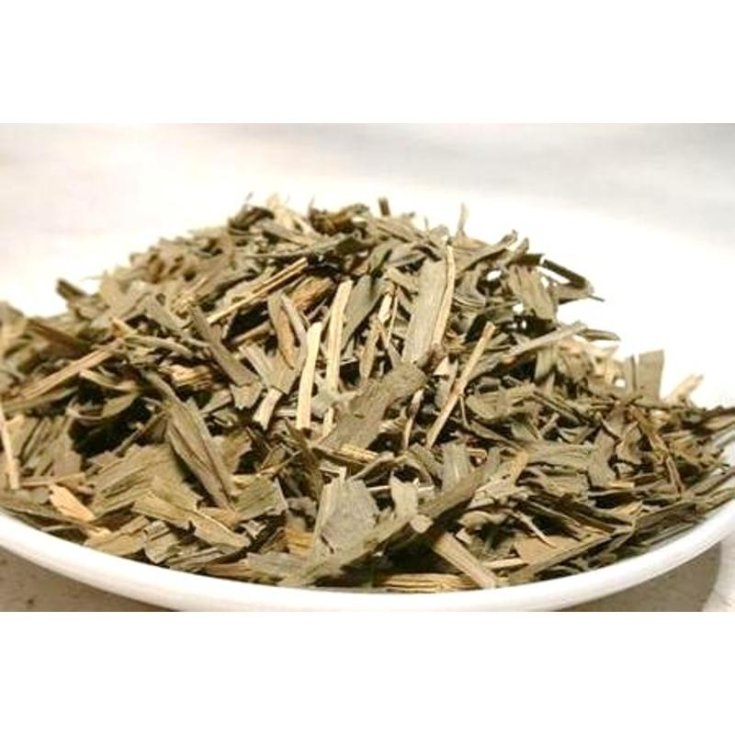 Hojas de Salvia Galeno 250g