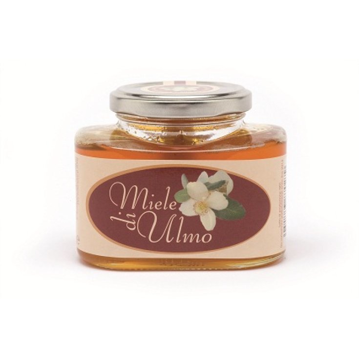 Miel de Ulmo 40g