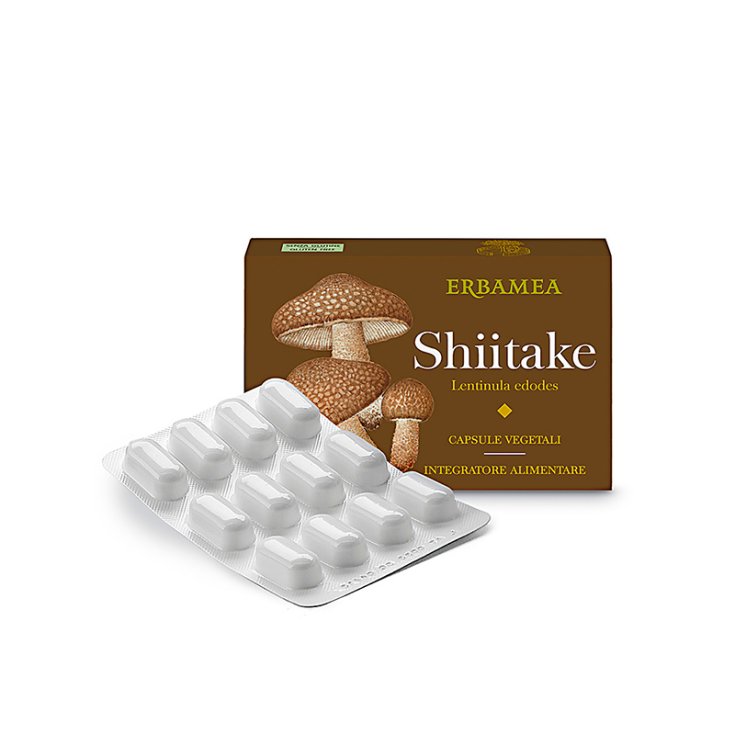 Shiitake Erbamea 24 Cápsulas Vegetarianas