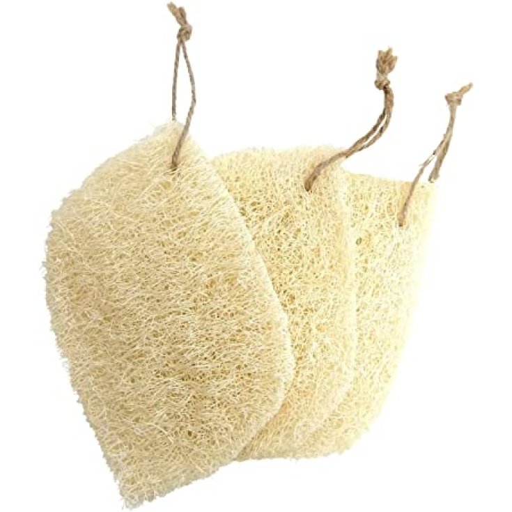 Luffa Cruda Borghetti Enrico 1 Pieza