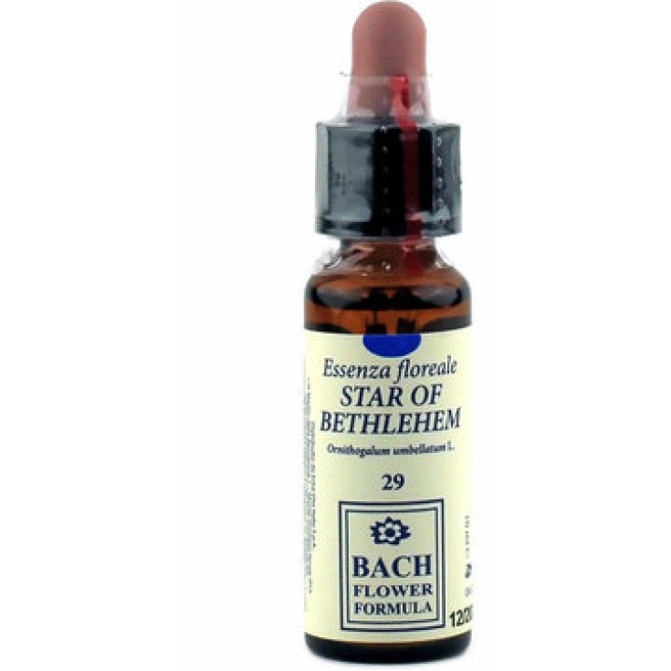 Estrella De Belén 29 Flores De Bach 10ml