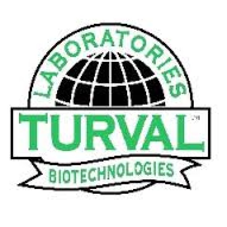 Turval Italia Laboratories Bioval Complex Granulado 20 Sobres