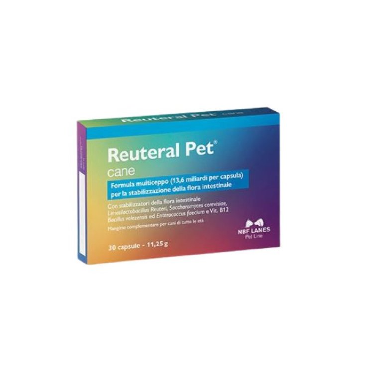 RUTERAL MASCOTA PERRO 30CPS