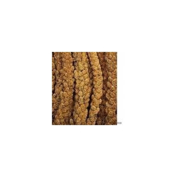 OREJAS DE PÁNICO 250 GR