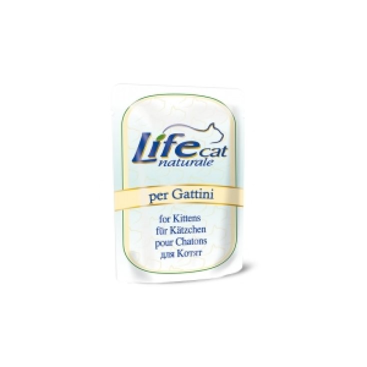 LIFE CAT SOBRE 70 GR GATITO