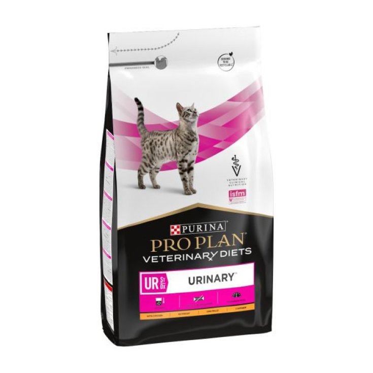 PPVD CAT UR ENCUESTA URINARIA350G