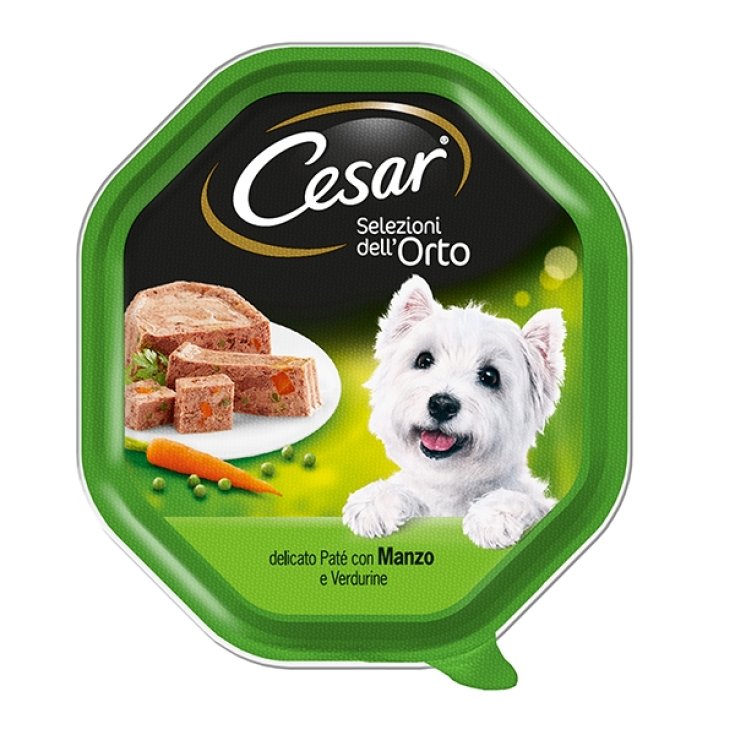 CESAR SELECCIONES ORTO MANZ/VERD