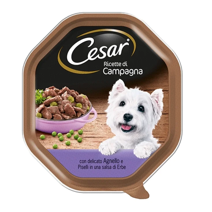RECETAS CESAR CAMP AGNEL/PISEL