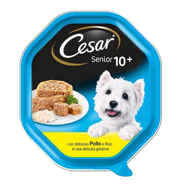 CESAR SENIOR 10+ POLLO/ARROZ GE