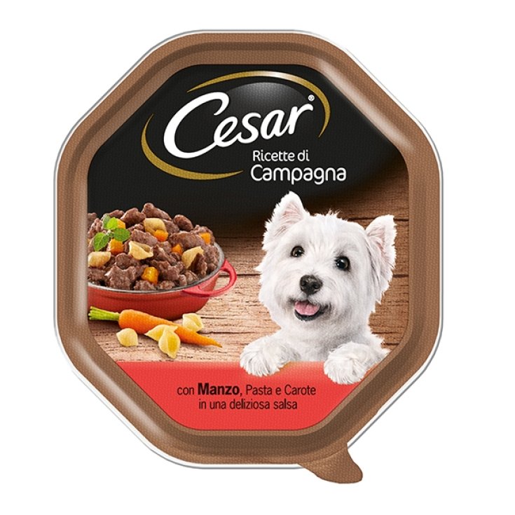 RECETAS CESAR CAMP CARNE PA/CA