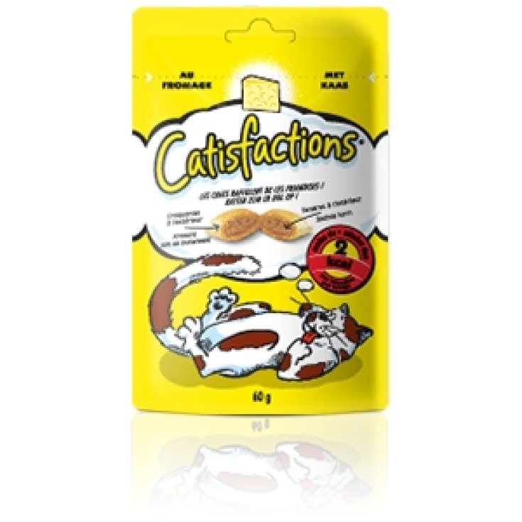 QUESO CATISFACCIONES 60G