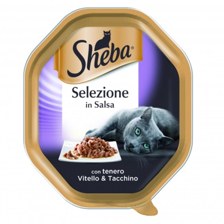 SELECCIÓN DE SALSA SHEBA VTL/TACC