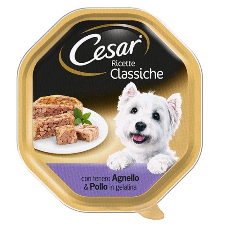 RECETAS CESAR CLASE AGNEL/ENCUESTA