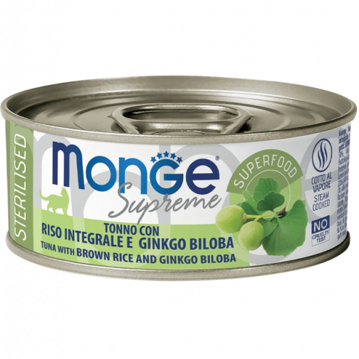 GINK DE ARROZ MONGE SUP ST TON 80G