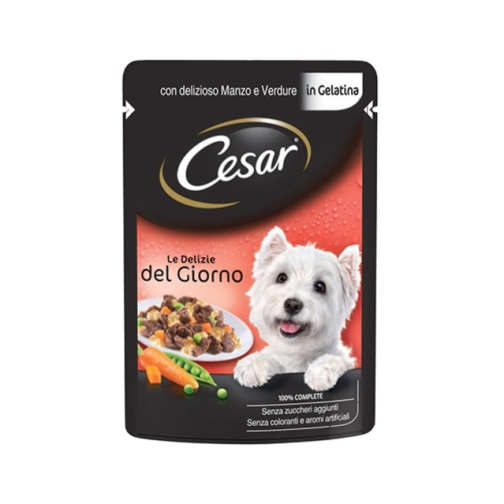 CESAR DELIZIE GG CARNE/VERDURAS