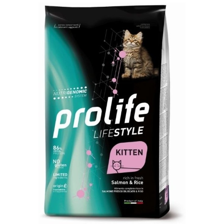 Life Style Kitten Salmón y Arroz - 1,50KG