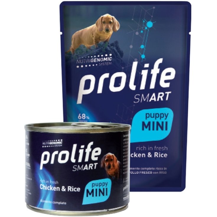 PROLIFE PERRO INTELIGENTE CACHORRO CHIC100G