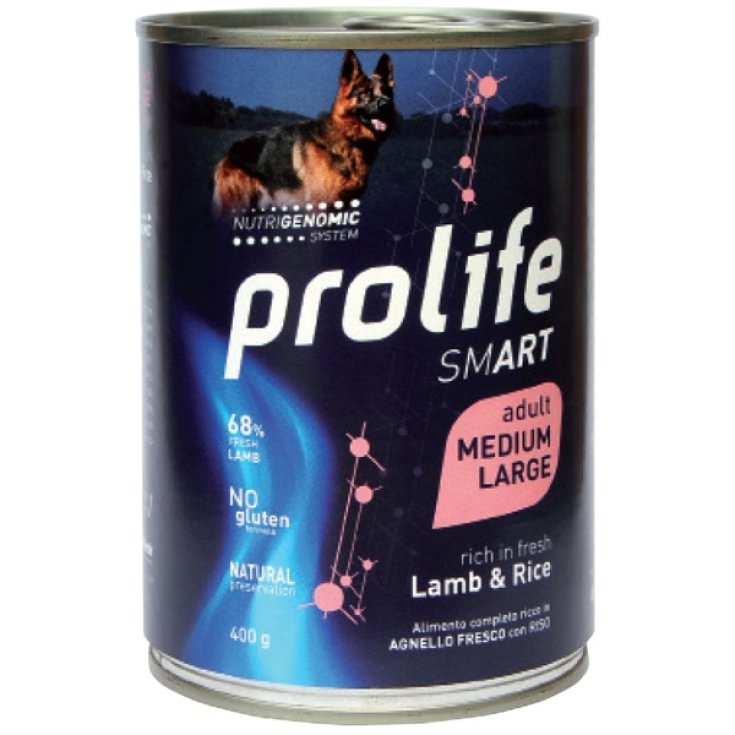 PROLIFE DOG SMART AD CORDERO 800G