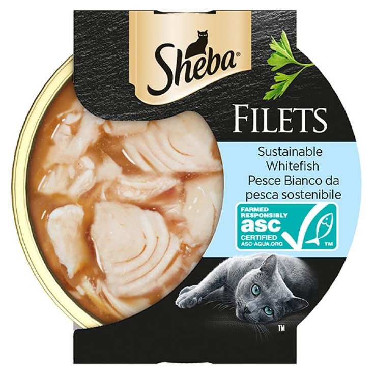 Filetes de Pescado Blanco de Pesca Sostenible