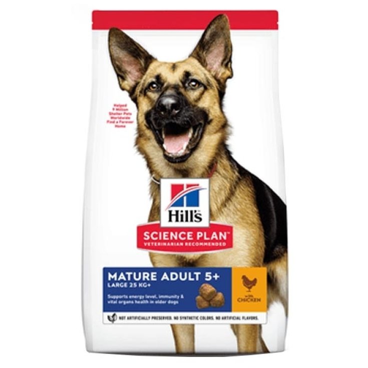 SP MADURO CANINO AD LB CHI12KG