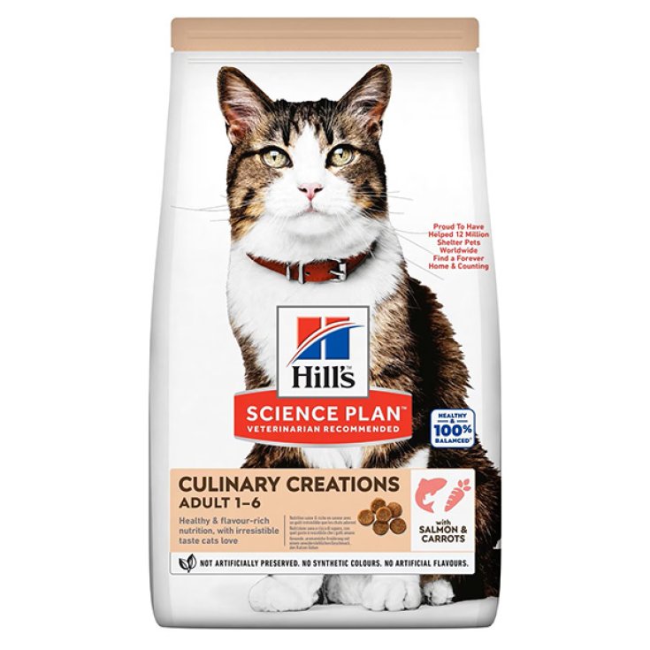 FELINO ADULTO SALMÓN Y ZANAHORIA 10 KG