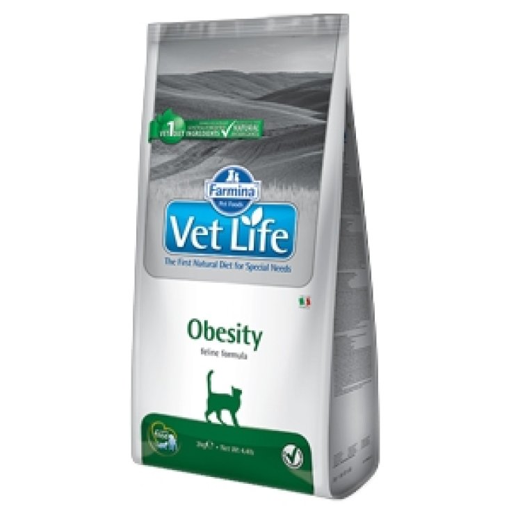 VET LIFE NAT FEL OBESIDAD 2KG