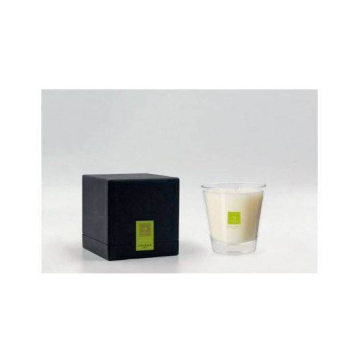 Vela Perfumada Black Zagara Home Beauty Idea 1 Pieza