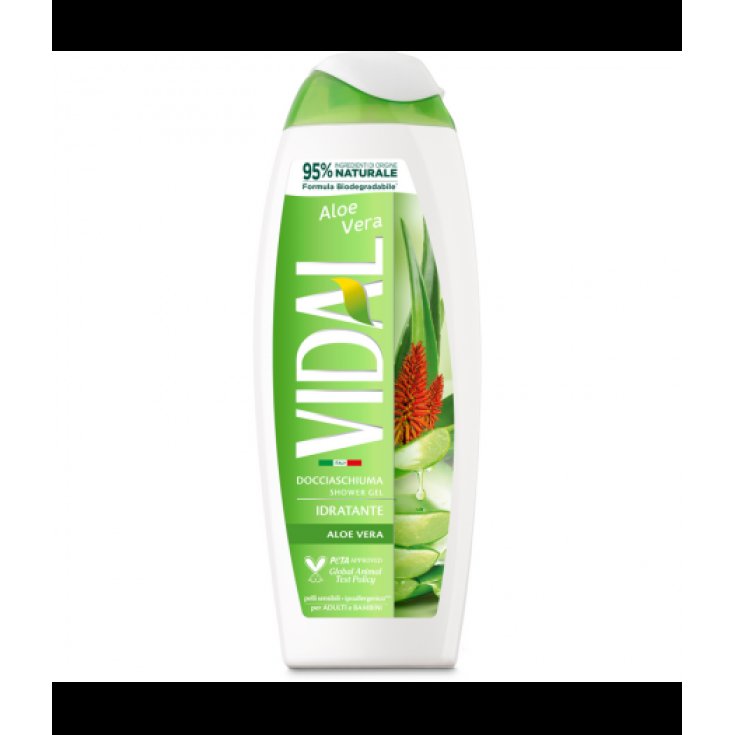 VIDAL NUEVO D/S ALOE VERA 250 ML