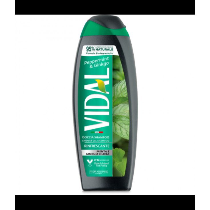 VIDAL NEW D/S MENTA Y GINKGO 250ML