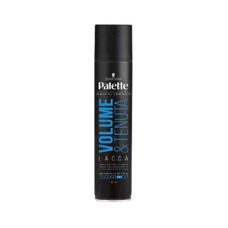 SPRAY PALETA VOLUMEN 300 ML