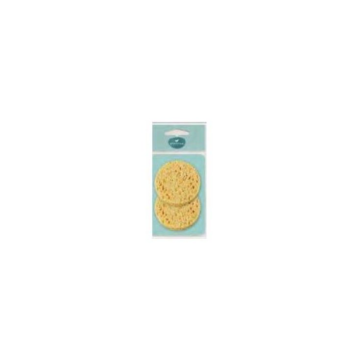 VANTAGE GM039 Esponjas de Celulosa 2 Piezas
