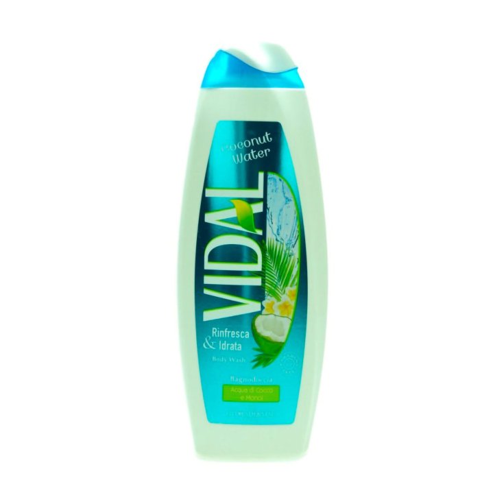 VIDAL B/S AGUA DE COCO 500 ML