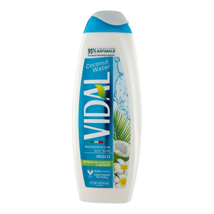 VIDAL NEW B/D AGUA DE COCO 500ML