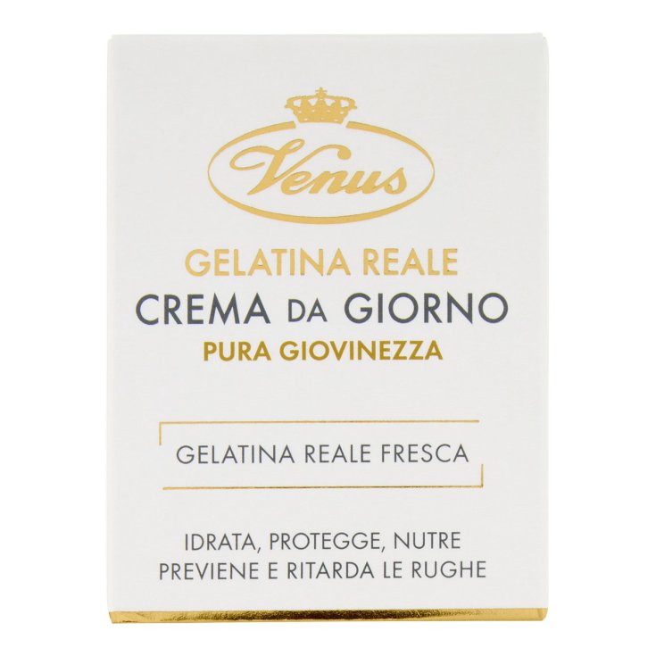 VENUS C / DÍA A / RUGHE G / REAL 50
