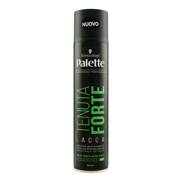 SPRAY PALETA FIJACIÓN FUERTE 300 ML